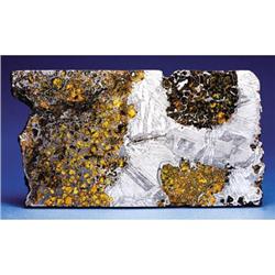 PARTIAL SLICE OF A STUNNING NEW PALLASITE