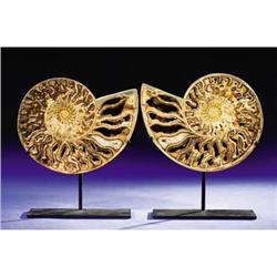 CRYSTAL-FILLED AMMONITE