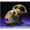 Image 1 : SUPERB DINOSAUR SKULL