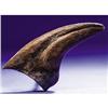 Image 1 : T-REX HAND CLAW