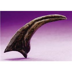 RAPTOR HAND CLAW