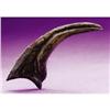 Image 1 : RAPTOR HAND CLAW