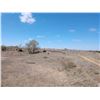 Image 3 : 239.9 Acres of Pasture, Pratt County, KS