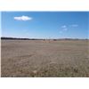 Image 5 : 239.9 Acres of Pasture, Pratt County, KS
