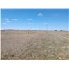 Image 6 : 239.9 Acres of Pasture, Pratt County, KS