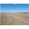 Image 7 : 239.9 Acres of Pasture, Pratt County, KS