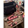 Image 4 : Pink Tool Bag with Various Tools