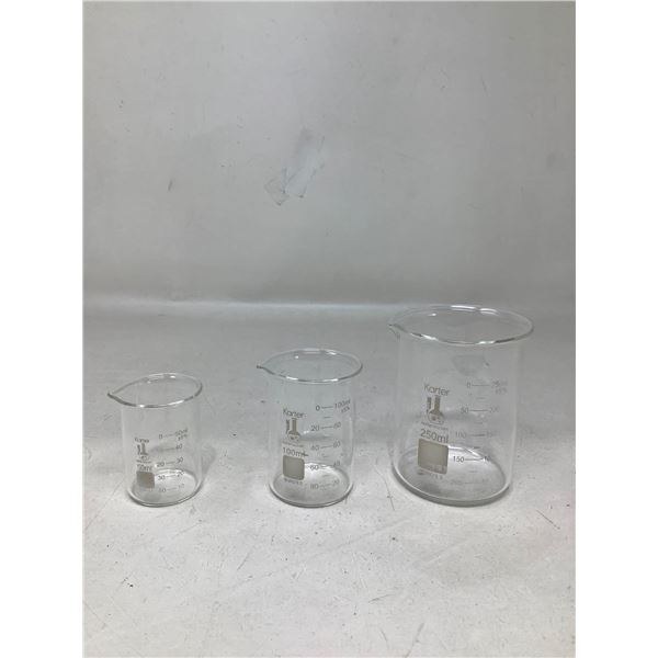 Karter Lab Beaker Set of 3 - 250, 100, 50 ml