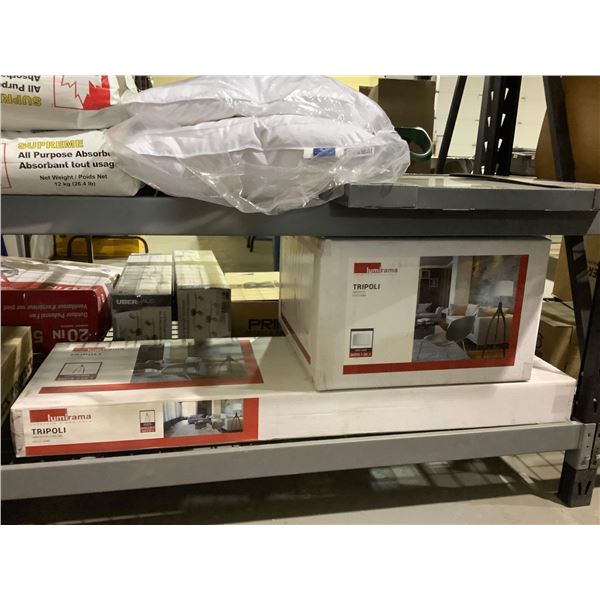 Lumirama Tripoli Floor Lamp (19-3/4in x 61in)