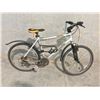 Image 2 : SILVER BRODIE ALPHA 24 SPEED FRONT SUSPENSION MOUNTAIN BIKE