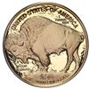 Image 2 : USA (West Point mint), gold proof $50 American Buffalo, 2006-W, PCGS PR70DCAM.