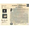 Image 2 : Large, natural pearl, Grade 1AA, 1.98 carats, ex-Santa Margarita (1622).