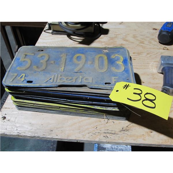 ANTIQUE LICENSE PLATES - BUNDLE