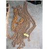 Image 1 : LOGGING CHAINS
