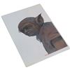 Image 1 : Harry Potter and the Prisoner of Azkaban(2004) - Dobby Design Print