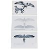 Image 1 : Harry Potter and the Prisoner of Azkaban(2004) - Set of 3 “Hippogriff” Design Prints