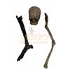 Image 1 : Terminator 2: Judgment Day (1991) - Miniature Skeletal Bones Collection