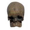 Image 2 : Terminator 2: Judgment Day (1991) - Miniature Skeletal Bones Collection