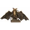 Image 1 : Bats (1999) - Hero Animatronic Bat with Cable