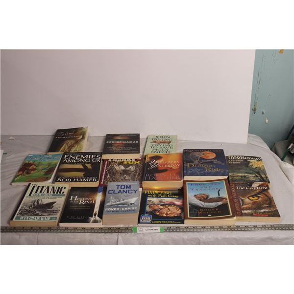 Reading book lot - various softcovers + Dragonrider Hard cover