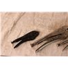 Image 3 : 3 Vise Grips