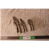 Image 1 : 3 Vise Grips