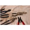Image 3 : 8 Pairs of Pliers