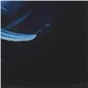Image 3 : Wyland, "Ocean Realm" Hand Embellished Limited Edition Cibachrome, Numbered and Hand Signed with Let