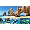 Image 8 : Mexico: Cabo San Lucas, 5 Night all-inclusive vacation for 2 adults