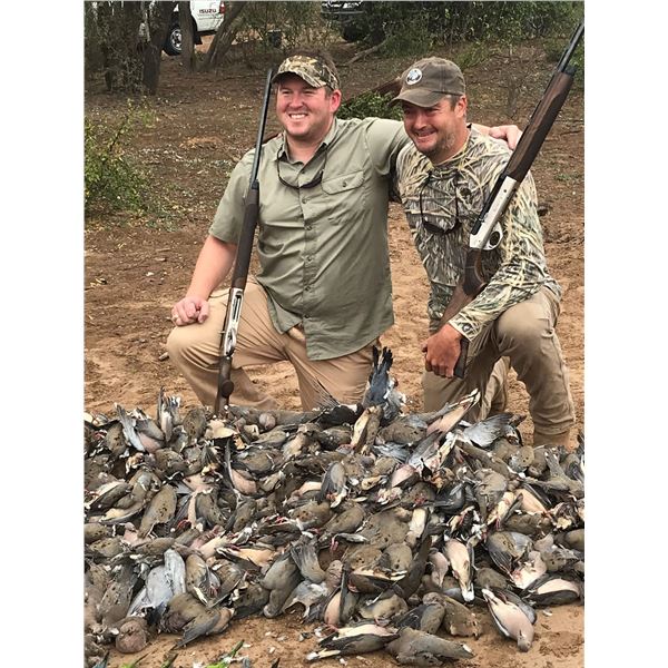 Argentina: 4 Day 5 Night High Volume Dove Hunt for 5 Hunters