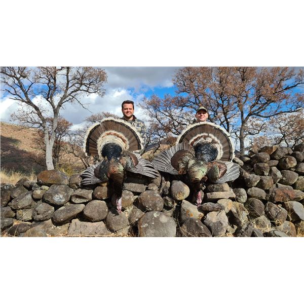 Mexico: 3 Day 4 Night Fully Guided Gould's Turkey Hunt for 2 Hunters