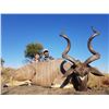 Image 7 : South Africa: 7 Day Roan or Sable Antelope Hunt for 1 Hunter / Includes $3,000 Trophy Fee Credit