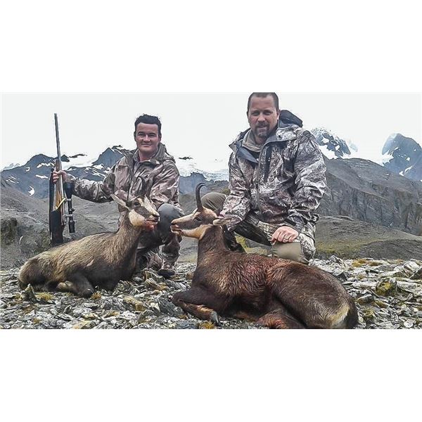 New Zealand: 3 Day 3 Night Chamois Hunt for Three Hunters, Including the Trophy Fees for 3 Chamois