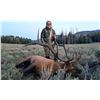 Image 4 : New Mexico: 5 Day Elk/Bear Combination Muzzle loader or rifle hunt for 2 hunters.