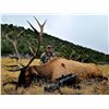 Image 5 : New Mexico: 5 Day Elk/Bear Combination Muzzle loader or rifle hunt for 2 hunters.