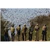 Image 2 : Argentina: 6 D 5 N All Wings Bird Hunt For 4 Hunters.  Includes Doves, Ducks, Pigeon & Perdiz