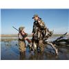 Image 3 : Argentina: 6 D 5 N All Wings Bird Hunt For 4 Hunters.  Includes Doves, Ducks, Pigeon & Perdiz