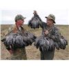 Image 5 : Argentina: 6 D 5 N All Wings Bird Hunt For 4 Hunters.  Includes Doves, Ducks, Pigeon & Perdiz