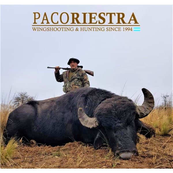 Argentina: 5 Day 4 Night Trophy Big Game Hunt for 1 Hunter, includes 1 Buffalo or 1 Red Stag