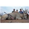 Image 1 : Namibia: 9 Day Safari  for 2 hunters, Includes 2 Eland Bulls