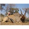Image 2 : Namibia: 9 Day Safari  for 2 hunters, Includes 2 Eland Bulls