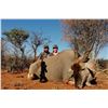 Image 4 : Namibia: 9 Day Safari  for 2 hunters, Includes 2 Eland Bulls
