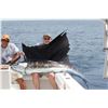 Image 6 : Panama:  All Inclusive 4 Night 3 Day Deep Sea Fishing Trip for 4 Anglers & 4 Non-Anglers.