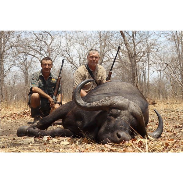 Mozambique:10 Day Classical 100% Wild Cape Buffalo Hunt for 1 hunter, Includes 1 Cape Buffalo Trophy