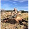 Image 5 : New Mexico: 5 Day Elk/Deer/Bear Combination Archery hunt for 2 hunters