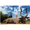 Image 1 : South Africa: 7 Day Plains Game Hunt for 2 Hunters / Includes 2 Bushbuck, 2 Nyala Bull & 2 Impala