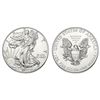 2013 American Silver Eagle .999 Fine Silver Dollar Coin