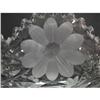 Image 3 : AMERICAN BRILLIANT CUT GLASS BOWL