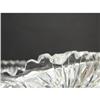 Image 5 : AMERICAN BRILLIANT CUT GLASS PICKLE DISHES