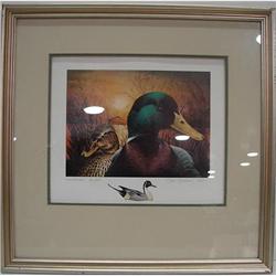 DON BRIDDELL DUCK PRINT